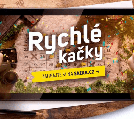 Rychlé kačky