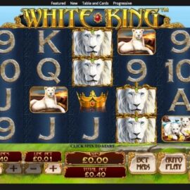 Hrací Automat White King