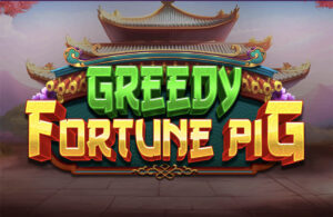 Greedy Fortune Pig