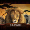 Recenze automatu Safari