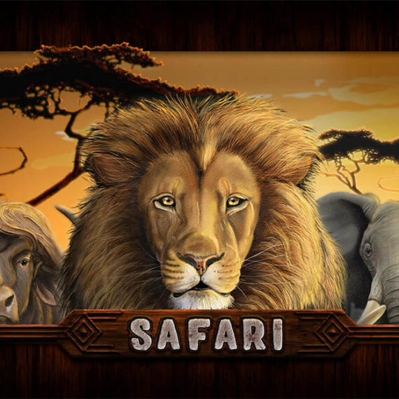 Recenze automatu Safari
