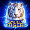 Water Tiger recenze automatu