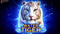Water Tiger recenze automatu