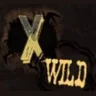 Symbol Wild na automatu 2 Wild 2 Die