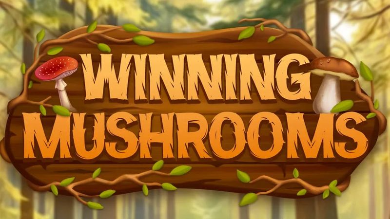 Automat Winning Mushrooms od Adell