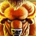 Symbol Bizon na automatu Buffalo Blitz