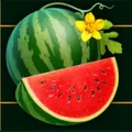 Symbol Meloun na automatu Burning Slots