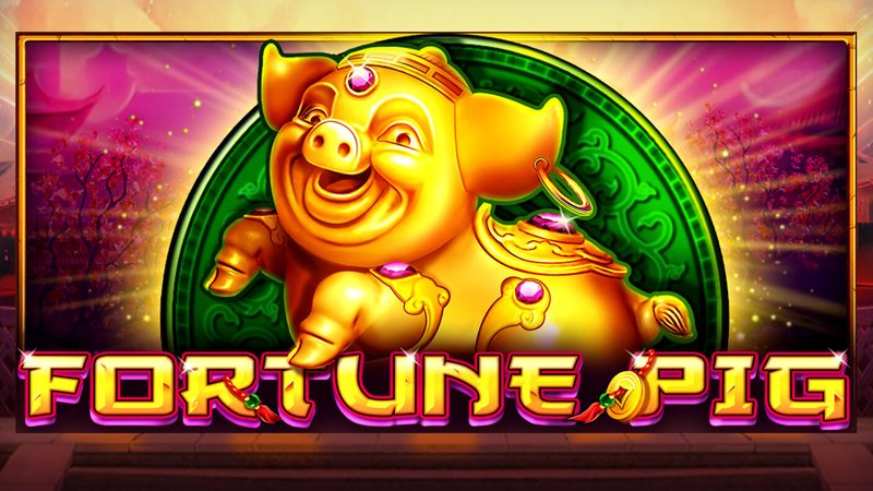 Automat Fortune Pig od CT Interactive