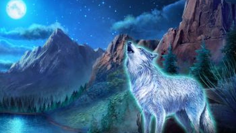 Automat Wolf Canyon: Hold & Win od iSoftBet