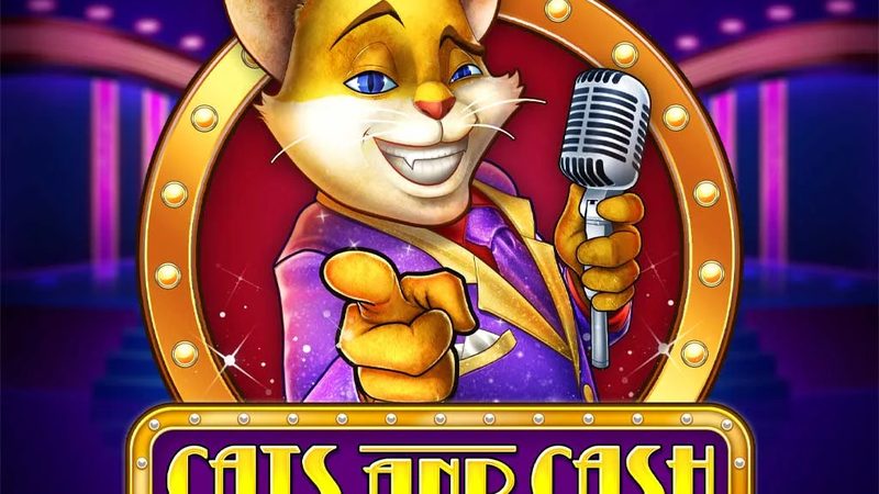 Automat Cats and Cash od Play'n GO