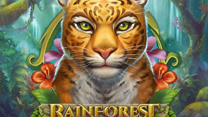 Automat Rainforest Magic od Play'n GO