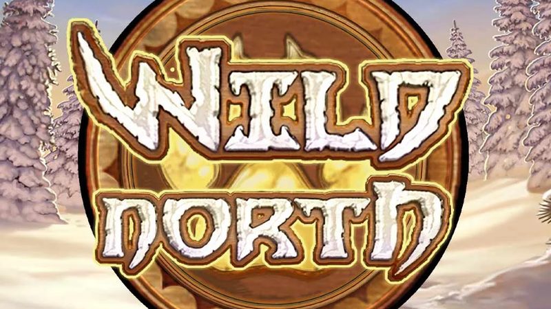 Automat Wild North od Play'n GO