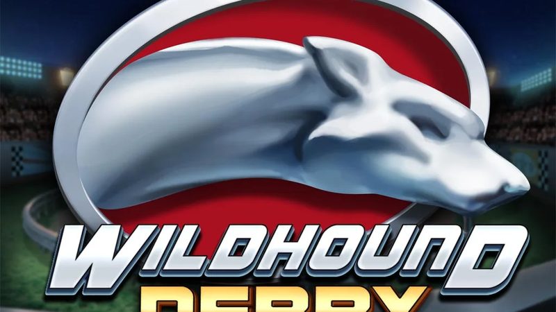 Automat Wildhound Derby od Play'n GO