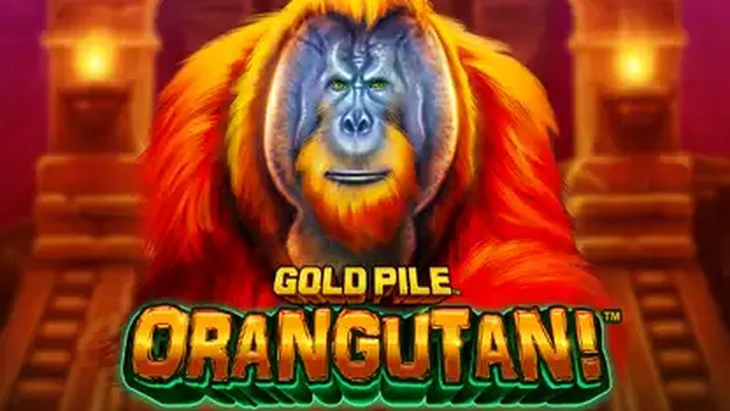Automat Gold Pile: Orangutan! od Playtech