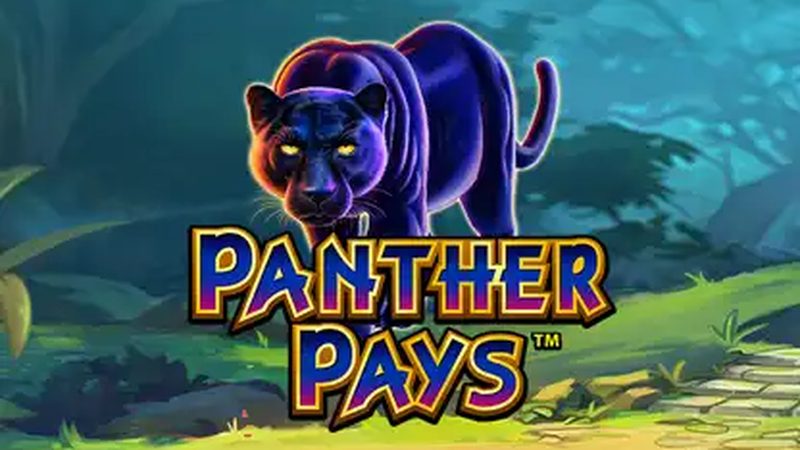 Automat Panther Pays od Playtech