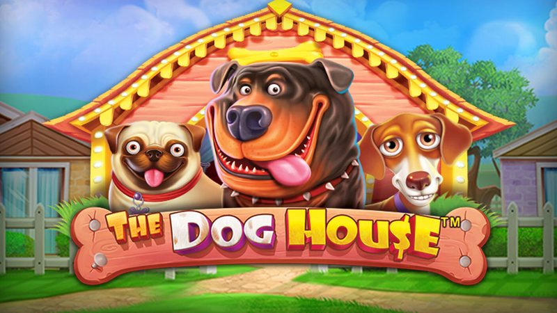 Automat The Dog House od Pragmatic Play