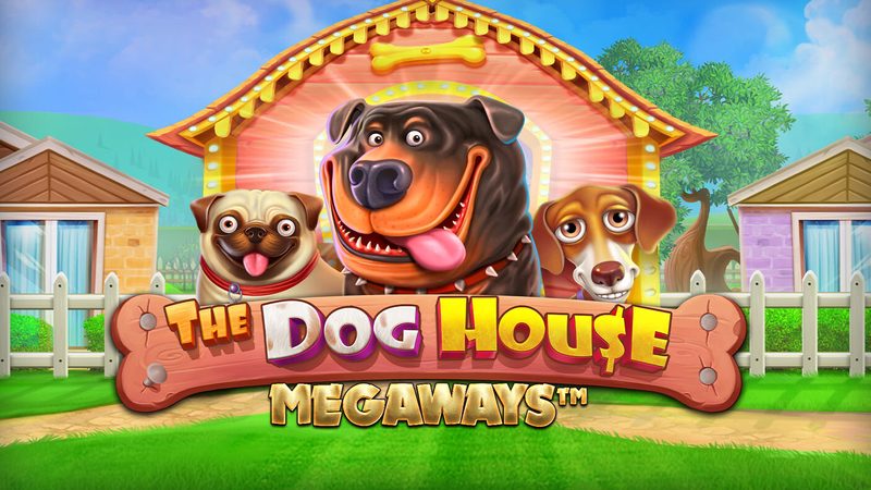 Automat The Dog House Megaways od Pragmatic Play