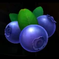 Symbol Borůvky na automatu Stunning Crown