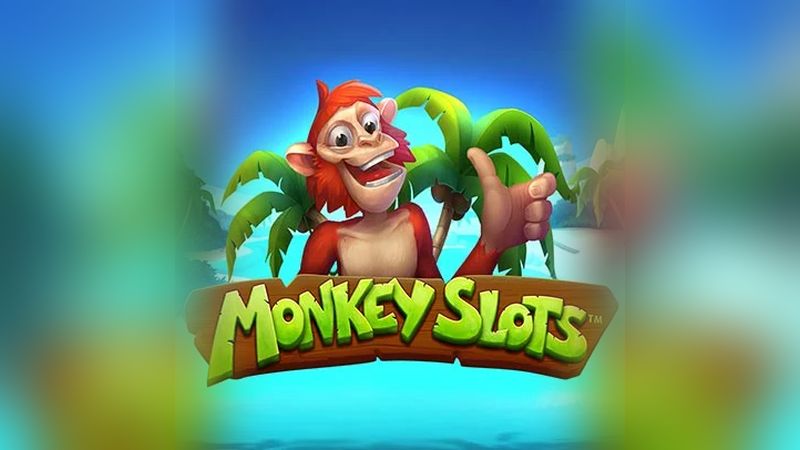Automat Monkey Slots od Synot Games