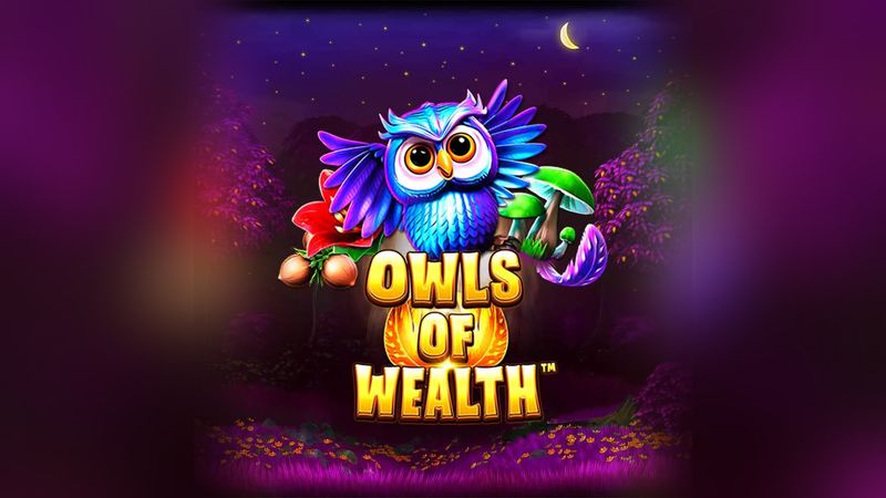 Automat Owls of Wealth od Synot Games