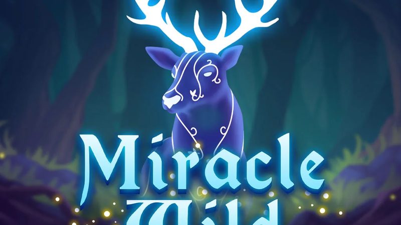 Automat Miracle Wild od Tech4Bet