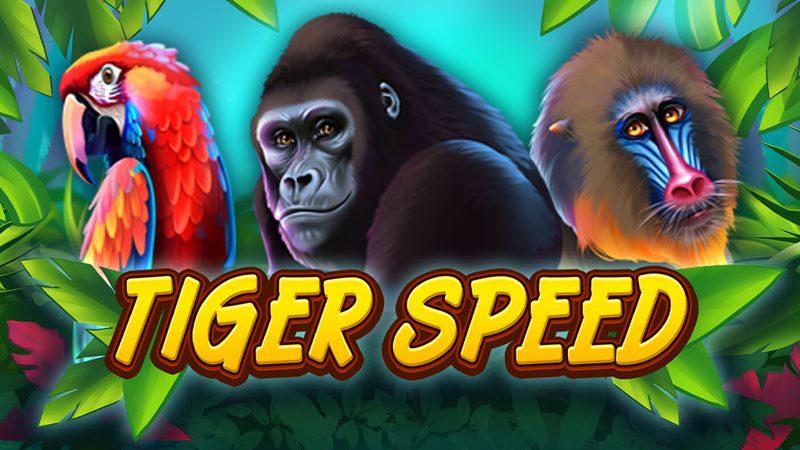 Automat Tiger Speed od Tech4Bet