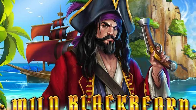 Automat Wild Blackbeard od Tech4Bet