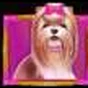 Symbol Pes s mašlí na automatu The Dog House Megaways