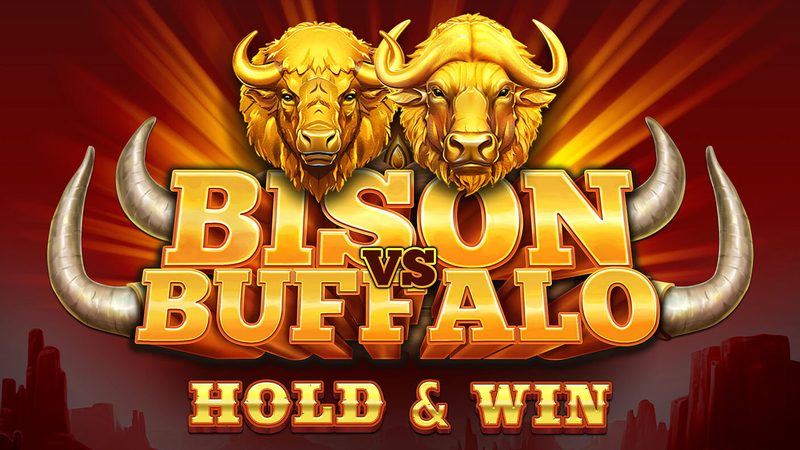 Automat Bison vs Buffalo od Tom Horn Gaming
