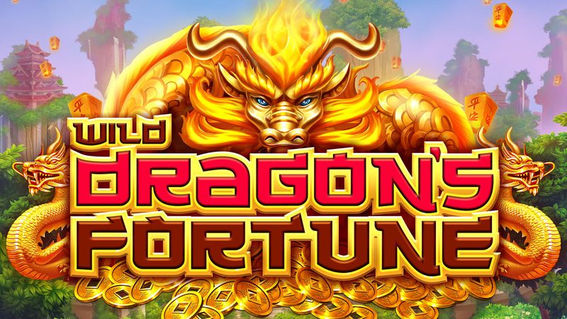 Automat Wild Dragon's Fortune od Tom Horn Gaming