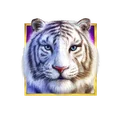 Symbol Tygr (Wild) na automatu Water Tiger