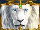 Symbol Wild (bílý lev) na automatu White King