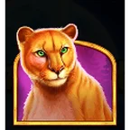 Symbol Puma na automatu Wolf Gold Ultimate